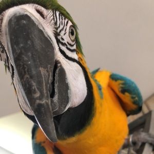 Meet your Posher, Caroline